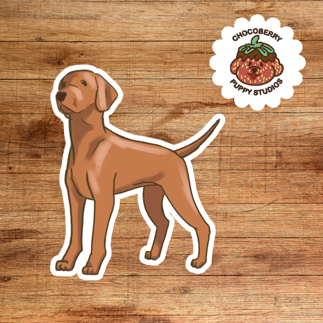 Hungarian Vizla Stickers