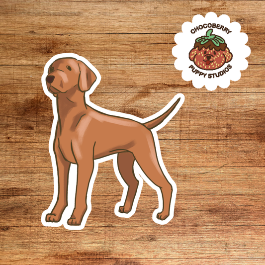 Hungarian Vizla Stickers