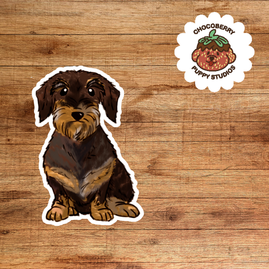 Dachshund Wire Haired Stickers